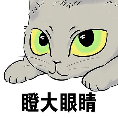 DƬ